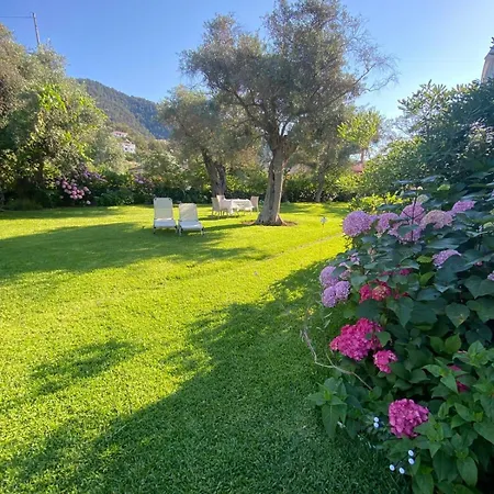 Olivia Chrysi Ammoudia